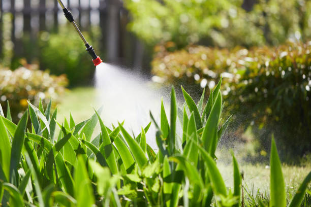 Tamper-Resistant Bait Stations for Rodents in Ludlow